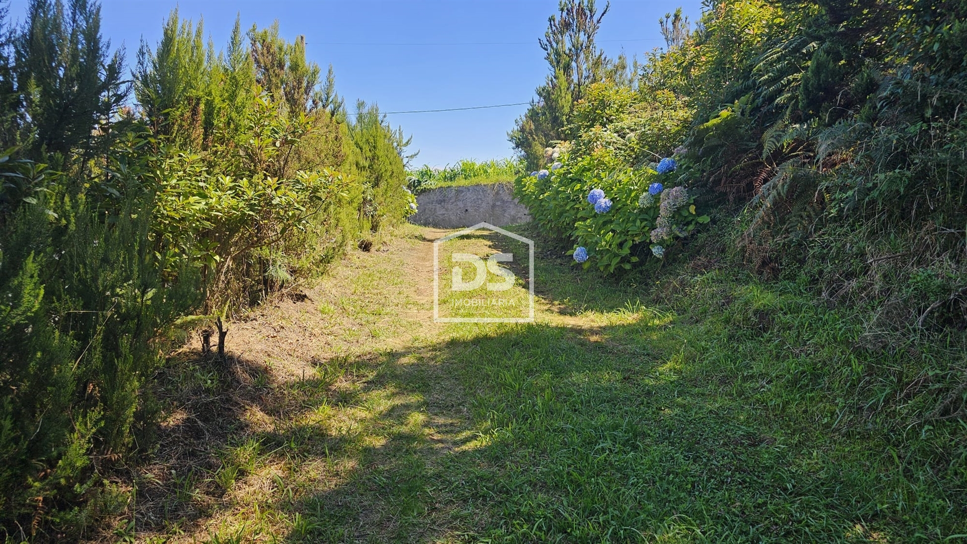 Real estate land